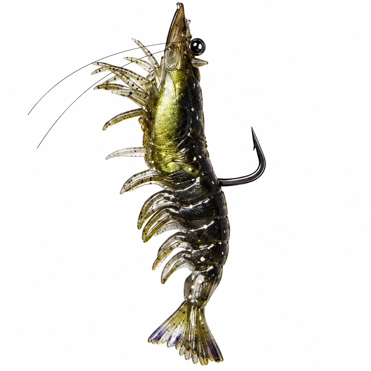 4.7" Stellar Live Shrimp (SKU 40-500)