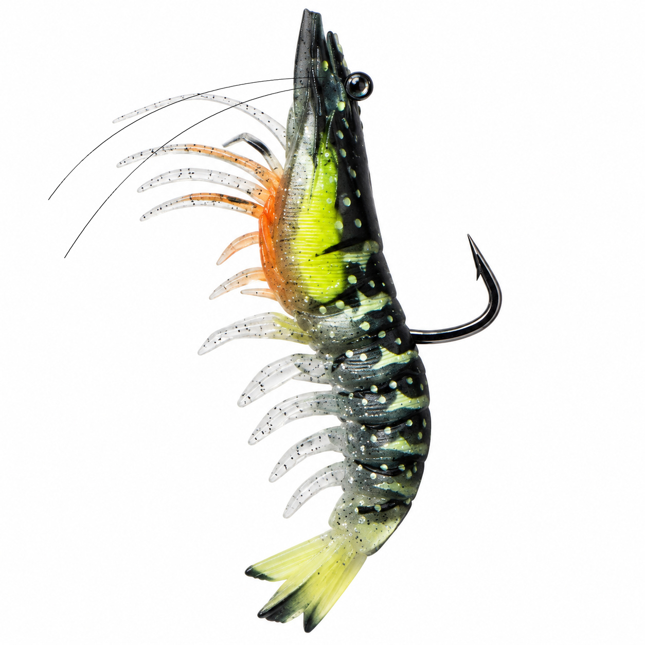 4.7" Stellar Live Shrimp (SKU 40-200)