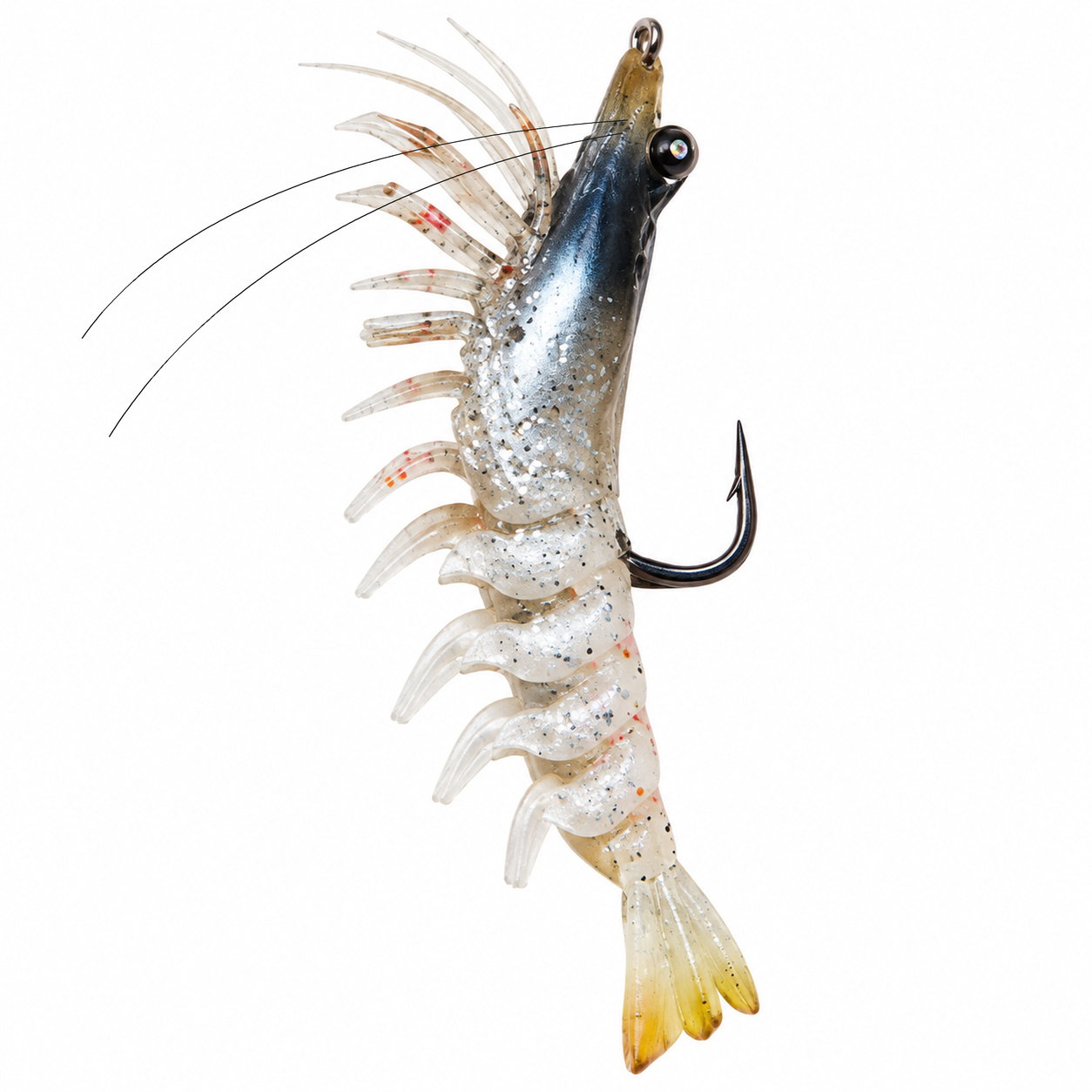 4.7" Stellar Live Shrimp (SKU 40-300)