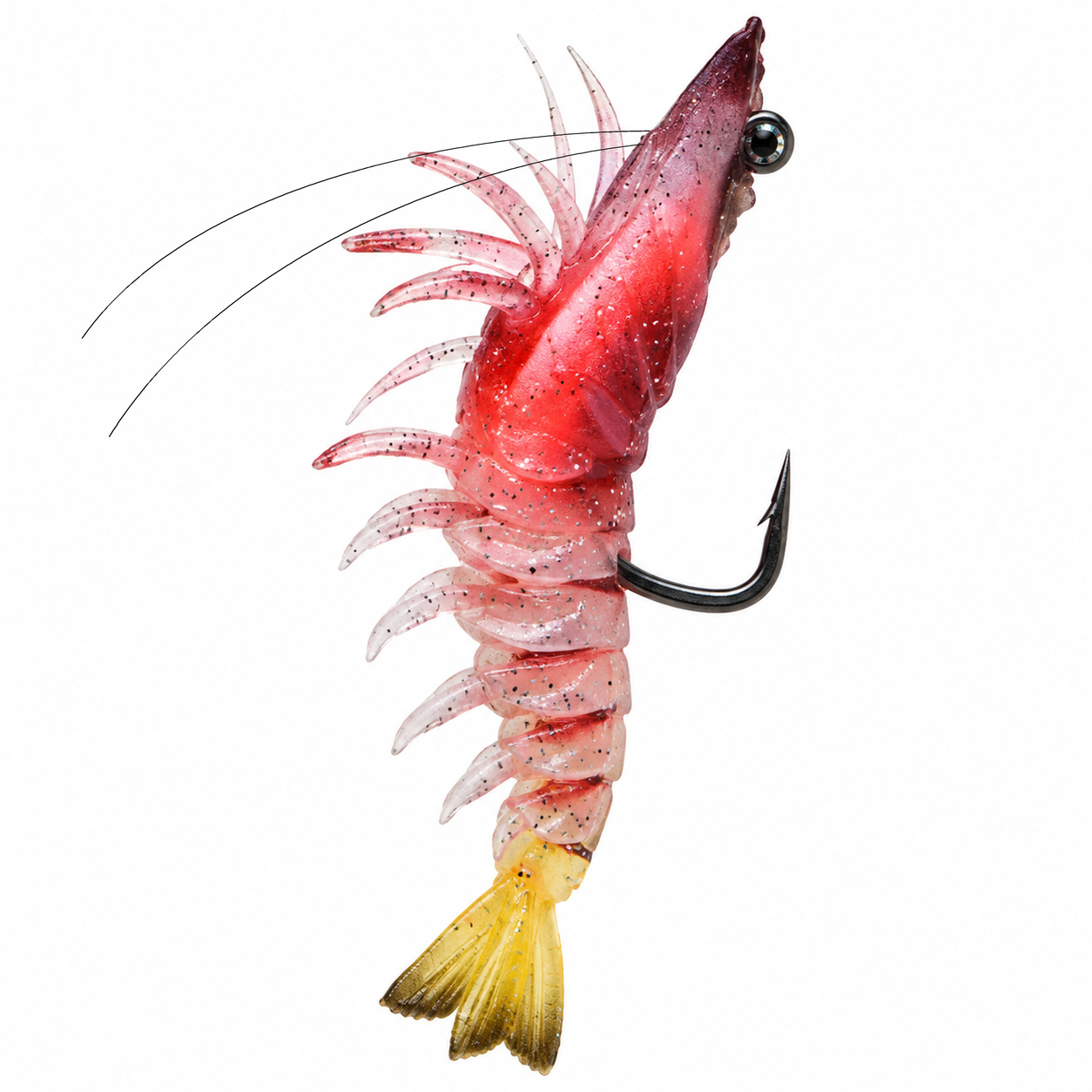 4.7" Stellar Live Shrimp (SKU 40-600)